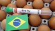 Brasil Umumkan Keadaan Darurat Nasional, Imbas Virus Ini