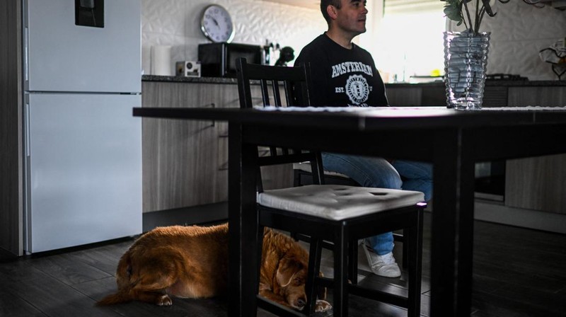 Seekor anjing dari Portugal dinobatkan anjing tertua oleh Guinness World Record pada Februari 2023 lalu. Bobi nama anjing tersebut berusia 30 tahun 266 hari. (AFP via Getty Images/PATRICIA DE MELO MOREIRA)