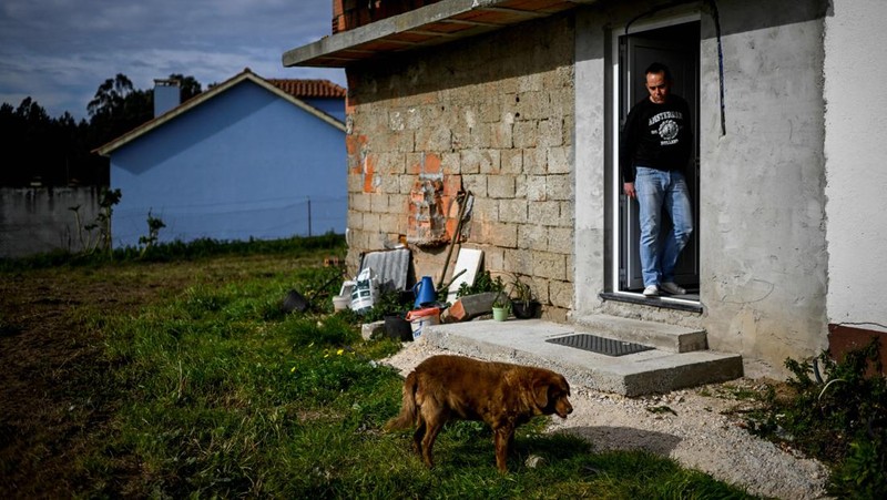 Seekor anjing dari Portugal dinobatkan anjing tertua oleh Guinness World Record pada Februari 2023 lalu. Bobi nama anjing tersebut berusia 30 tahun 266 hari. (AFP via Getty Images/PATRICIA DE MELO MOREIRA)