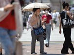 Fenomena Ramai Lansia Jepang Sengaja Masuk Penjara, Ada Apa?