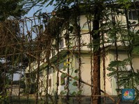 Penampakan 'Kota Hantu' Kawasan Industri di Ujung Jakarta