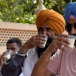 Kabar Buruk dari India, Susunya Mau
