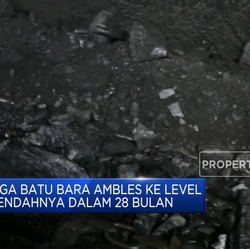 Harga Batu Bara Ambles Sentuh Level Terendah Dalam 28 Bulan