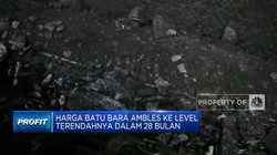 Harga Batu Bara Ambles Sentuh Level Terendah Dalam 28 Bulan