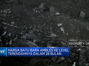 Harga Batu Bara Ambles Sentuh Level Terendah Dalam 28 Bulan