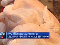 Harga Ayam & Telur Melonjak, Ini Kata Pedagang & Peternak