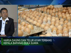 Harga Daging & Telur Ayam "Terbang" Kepala Bapanas Buka Suara