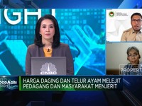 Kenaikan Harga Telur Ayam Jadi Masalah Klasik, Ada Solusi?