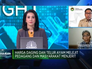 Kenaikan Harga Telur Ayam Jadi Masalah Klasik, Ada Solusi?