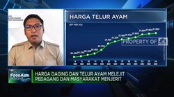 Pedagang Menjerit, Harga Telur Ayam Naik Bikin Omzet Anjlok!
