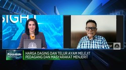 Video: Peternak Ungkap Biang Kerok Harga Telur Ayam Meroket