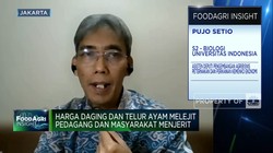 Solusi Pemerintah Tekan Harga Jagung Pakan Ternak, Apa Saja?