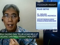 Solusi Pemerintah Tekan Harga Jagung Pakan Ternak, Apa Saja?
