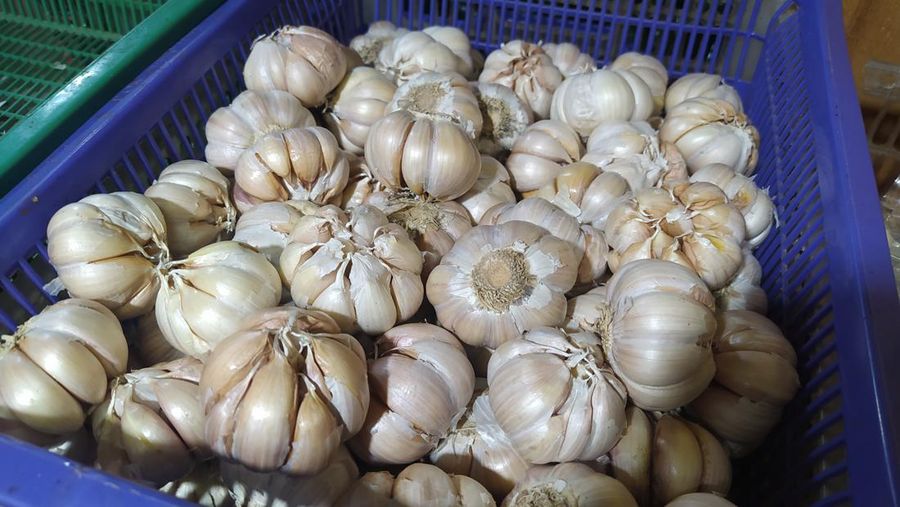Bawang Putih (²©²ÊÍøÕ¾/Martyasari)