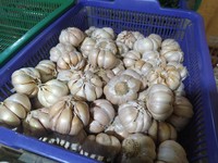 7 Rempah untuk Menurunkan Kolesterol Secara Alami, Catat Nih