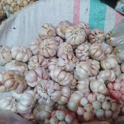 Harga Bawang Putih Makin Mahal, Kemendag Bongkar Biang Keroknya