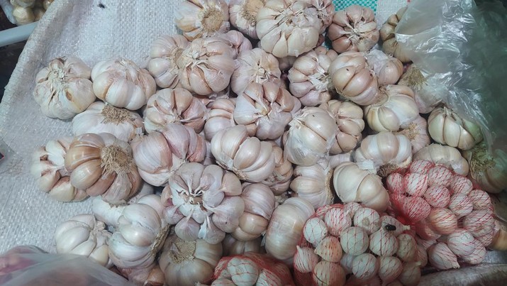 Bawang Putih (CNBC Indonesia/Martyasari) Bawang Putih (CNBC Indonesia/Martyasari)