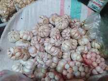 Harga Bawang Putih Meroket, Bos Bapanas Ungkap Biang Keroknya