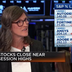 Bosen Berguru ke Warren Buffett? Kenalan Sama Cathie Wood
