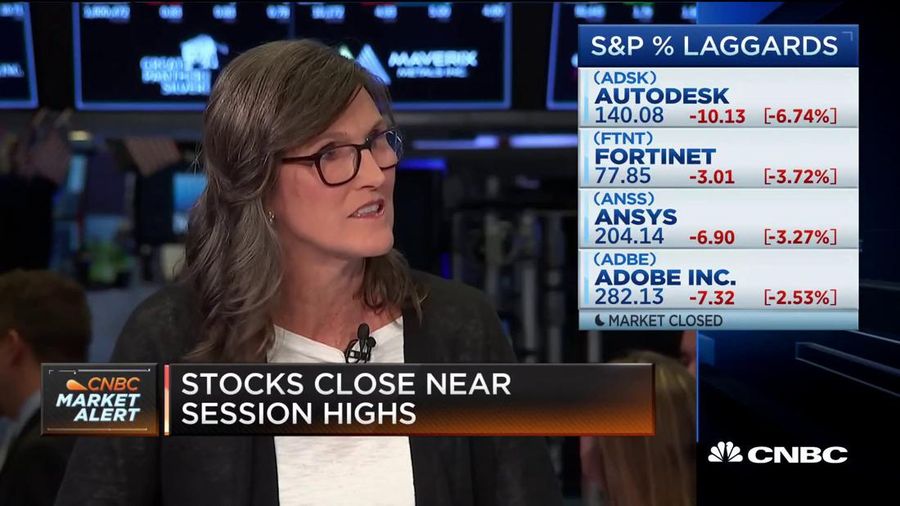 Cathie Wood (CNBC)
