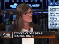 Bosen Berguru ke Warren Buffett? Kenalan Sama Cathie Wood