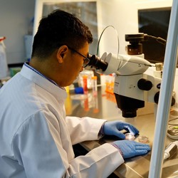 China Mendadak Bikin Lab Bawah Tanah, AS Kudu Waswas
