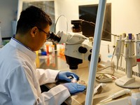 China Mendadak Bikin Lab Bawah Tanah, AS Kudu Waswas