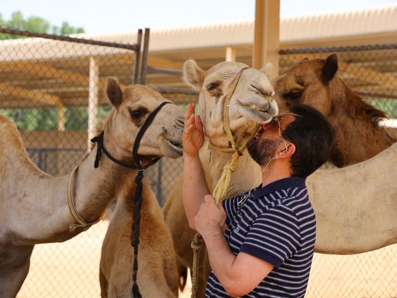 A surrogate mother with her cloned baby camel is pictured at the farm of the Reproductive Biotechnology Centre in Dubai, which researches and creates novel cloning techniques to reproduce camels, in Dubai, United Arab Emirates, May 18, 2023. REUTERS/Rula Rouhana