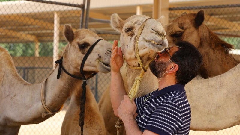 A surrogate mother with her cloned baby camel is pictured at the farm of the Reproductive Biotechnology Centre in Dubai, which researches and creates novel cloning techniques to reproduce camels, in Dubai, United Arab Emirates, May 18, 2023. REUTERS/Rula Rouhana