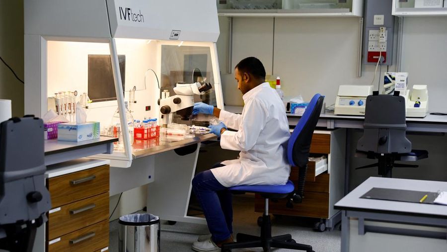 A scientist works with cells in the lab at the Reproductive Biotechnology Centre in Dubai, which researches and creates novel cloning techniques to reproduce camels, in Dubai, United Arab Emirates, May 18, 2023. REUTERS/Rula Rouhana