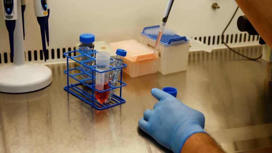 A scientist uses liquid to store the cells in the lab at the Reproductive Biotechnology Centre in Dubai, which researches and creates novel cloning techniques to reproduce camels, in Dubai, United Arab Emirates, May 18, 2023. REUTERS/Rula Rouhana