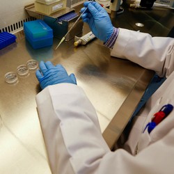 Ilmuwan MIT Temukan Obat Ajaib Cegah Kematian Manusia