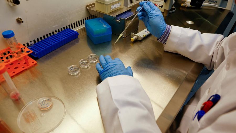 A scientist works with cells in the lab at the Reproductive Biotechnology Centre in Dubai, which researches and creates novel cloning techniques to reproduce camels, in Dubai, United Arab Emirates, May 18, 2023. REUTERS/Rula Rouhana