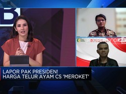 Harga Telur Masih Tinggi, Pengamat: Picu Kenaikan Inflasi