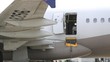Pria yang Buka Pintu Darurat Pesawat Asiana Ditangkap