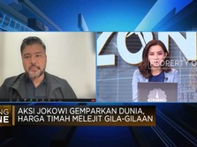 Jokowi Stop Ekspor Mineral Mentah, Pengusaha Pesimis