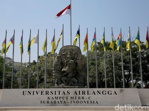 16 Bidang Ilmu Unair Ini Masuk Top 500 QS WUR by Subject 2025, Ada Incaranmu?