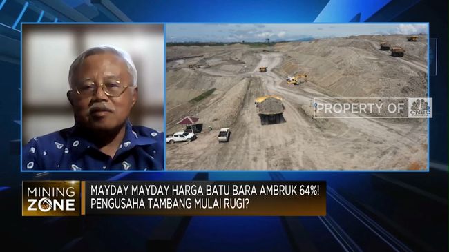 “Coal Companies Strategize Amid Falling Prices: CNBC Indonesia TV Report”