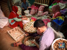 Inflasi Turun Tapi Gak Tahu Mesti Bahagia Atau Sedih