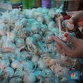Ada 'Bisnis Hitam' Impor Bawang Putih, Ombudsman Warning Pemerintah