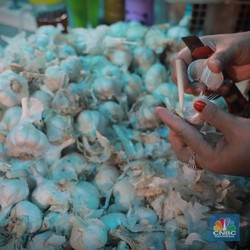 Ombudsman Dapat Laporan Dugaan Tak Beres Impor Bawang Putih