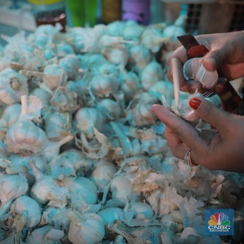 Lagu Lama, Harga Bawang Putih Meledak Lagi karena Ini