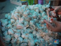 Ada 'Bisnis Hitam' Impor Bawang Putih, Ombudsman Warning Pemerintah