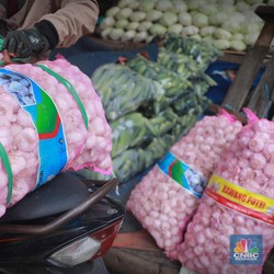 Benarkah Ada Pungutan Liar Izin Impor Bawang Putih, Ini Kata Kementan