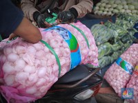 Benarkah Ada Pungutan Liar Izin Impor Bawang Putih, Ini Kata Kementan