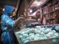 Impor Bawang Putin Dipangkas 40% Tahun Depan, Ada Apa?