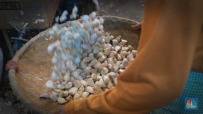 Penjualan bawang putih di pasar Kramat Jati, Jakarta, Senin (29/5/2023). Penjualan bawang putih di pasar Kramat Jati, Jakarta, Senin (29/5/2023). (CNBC Indonesia/Muhammad Sabki)
