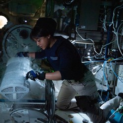 Astronaut Bikin Miso di Luar Angkasa, Lebih Enak dari Buatan Bumi