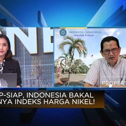 Video: Indeks Harga Nikel Segera Terwujud, Penambang Senang?