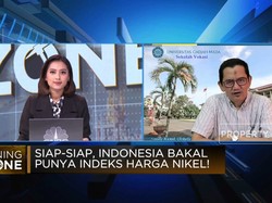 Video: Indeks Harga Nikel Segera Terwujud, Penambang Senang?